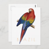 Vintages Brasilien Reise Postkarte Macaw Vogel Mit (Vorne/Hinten)