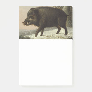 Vintages Braunbär Jagdgemälde, Wildlife Art Post-it Klebezettel