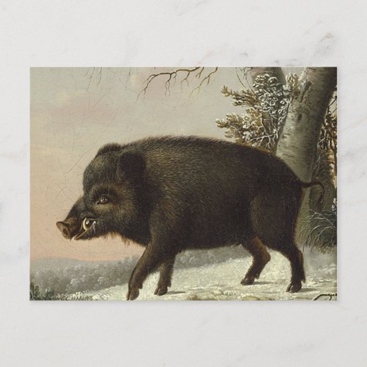 Vintages Braunbär Jagdgemälde, Wildlife Art Postkarte (Vorderseite)