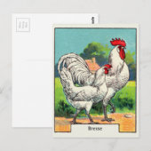 Vintages Bresse-Huhn Postkarte (Vorne/Hinten)