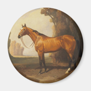 Vintages Brownthoroughbred-Pferd Magnet