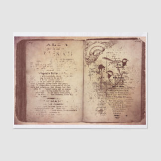Vintages Buch Seidenpapier