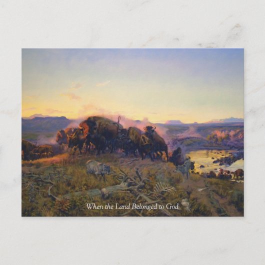 Vintages Büffel im Gebirge Postkarte (Vorderseite)