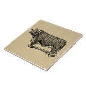 Vintages Bull Country & Farm Themenkunst Fliese (Seite)