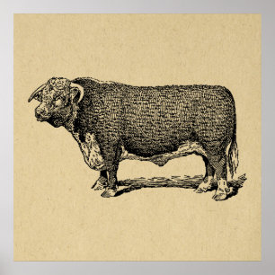 Vintages Bull Country & Farm Themenkunst Poster
