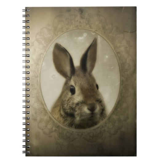 Vintages Bunny Portrait Notizblock (Vorderseite)