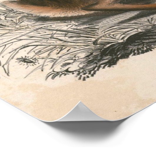 Vintages Bunny Poster drucken (Ecke)