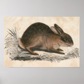 Vintages Bunny Poster drucken (Vorne)