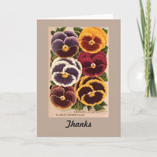 Vintages Burpee sortiertes Stiefmütterchen Dankeskarte
