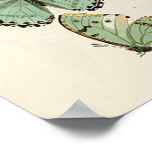 Vintages Butterfly-Poster Poster (Ecke)