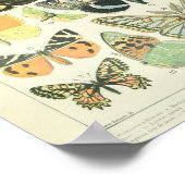 Vintages Butterfly-Poster Poster (Ecke)
