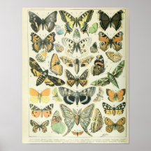 Vintages Butterfly-Poster