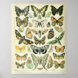 Vintages Butterfly-Poster Poster