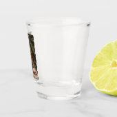 Vintages California Redwoods Travel Schnapsglas (Rechts)