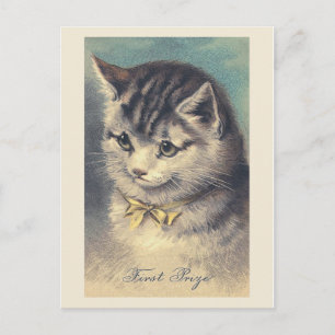 Vintages Cat Portrait Postcard "First Prize" Postkarte