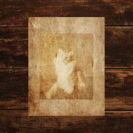 Vintages Cat Scrapbook