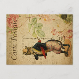 Vintages Cat Theme   Postale   Katzenbekleidung Postkarte