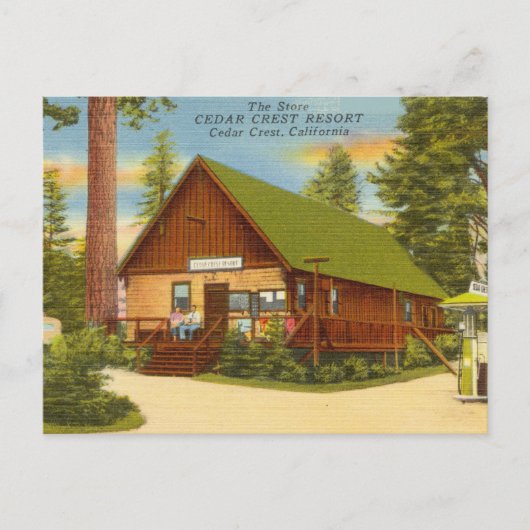 Vintages Cedar-Wappen, Kalifornien Postkarte (Vorderseite)