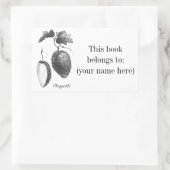 Vintages Chayote-Buchzeichen Rechteckiger Aufkleber (Tasche)
