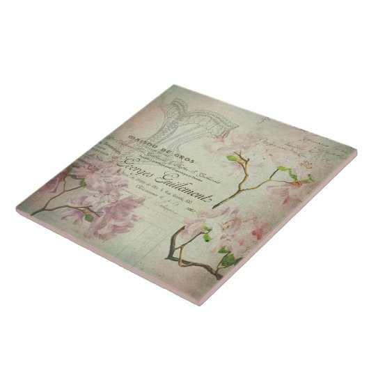 Vintages Chic-französisches Skript-schäbiges Fliese (Seite)