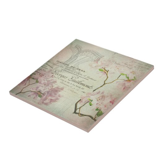 Vintages Chic-französisches Skript-schäbiges Fliese (Seite)