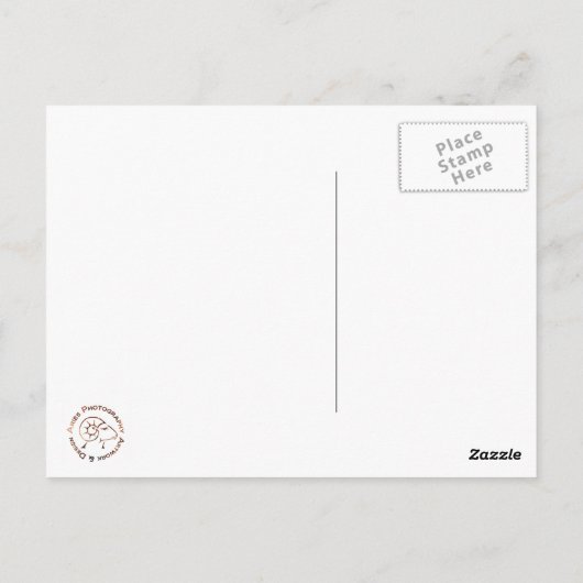 Vintages Chicago Postkarte (Rückseite)