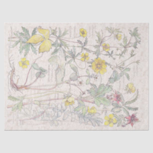 Vintages Cinquefoil-Wildblume-Blumen-Seidenpapier Seidenpapier