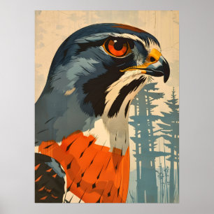 Vintages Closeup-Portrait eines Cooper's Hawk Poster