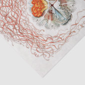 Vintages Collage Jellyfish-Muster Seidenpapier (Detail)