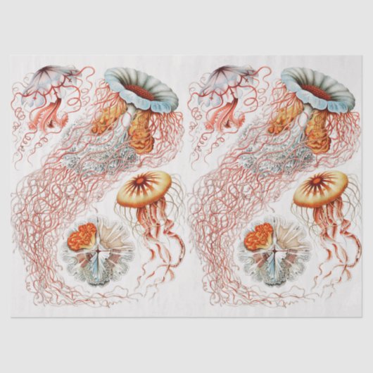 Vintages Collage Jellyfish-Muster Seidenpapier (Vorderseite)
