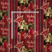 Vintages Cowgirl-Rodeo-Stern-Western-Gewebe Stoff (Kachel)