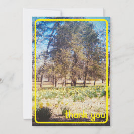 Vintages Daffodil Dankeschön Karte