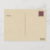 Vintages Daisy Wildblume Muster Altes Sepia Foto Postkarte (Rückseite)