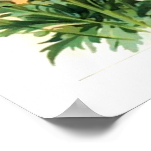 Vintages Delphinienfutter Poster (Ecke)