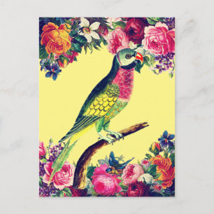 Vintages Design für tropischen Papagei Postkarte