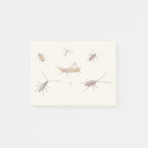 Vintages Design mit sieben verschiedenen Insekten