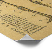 Vintages deutsches Anatomie-Druckskelett Poster (Ecke)