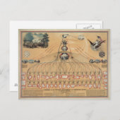 Vintages Diagramm der Bundesstaatlichen Regierung Postkarte (Vorne/Hinten)