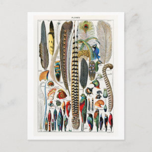 Vintages Diagramm von Dämpfen/Federn Postkarte