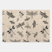 Vintages Drachenfliegengestörtes Entomologie-Muste Geschenkpapier Set (Vorderseite 2)