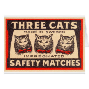 Vintages drei Katzen-Sicherheits-Match