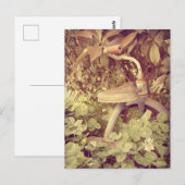 Vintages Dreirad Postkarte (Vorne/Hinten)