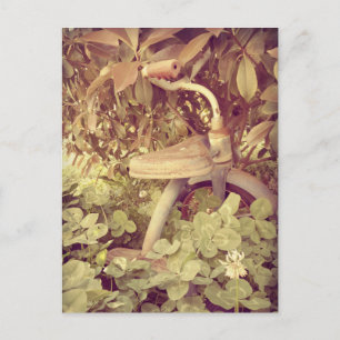 Vintages Dreirad Postkarte