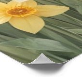 Vintages Duckling Trio Pasta Poster (Ecke)