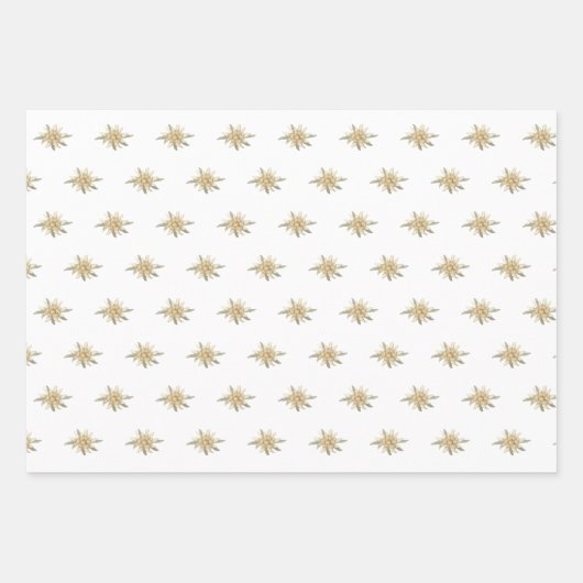 Vintages Edelweiss Geschenkpapier Set (Vorderseite 2)