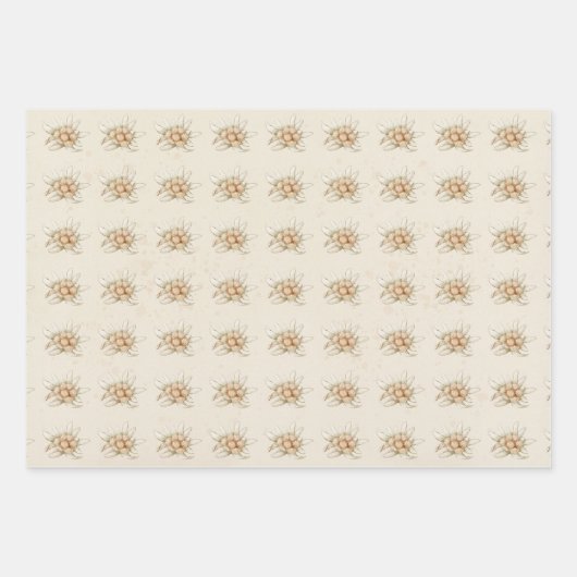 Vintages Edelweiß Geschenkpapier Set (Vorderseite 3)
