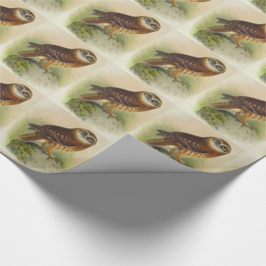 Vintages Ei Geschenkpapier (Ecke)