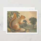 Vintages Eichhörnchen Lithographie Postkarte (Vorne/Hinten)