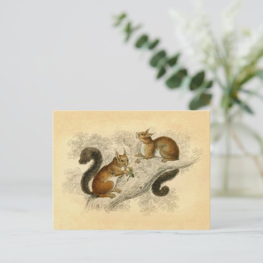 Vintages Eichhörnchen Postkarte (Stehend Vorderseite)