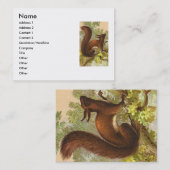 Vintages Eichhörnchen Visitenkarte (Vorne/Hinten)
